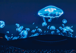 Group Tickets